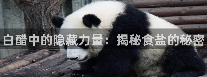 威九国际和之前
