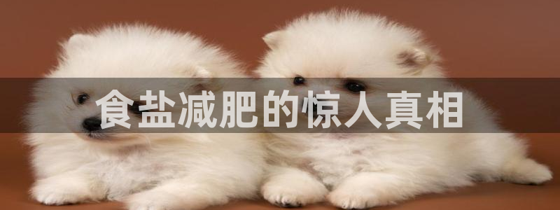 威九国际女主名字