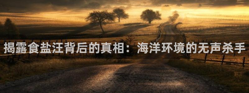 威九国际电子游戏