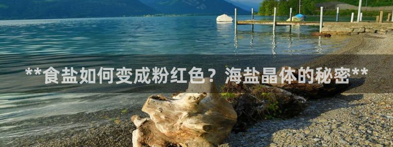 威九国际网站进入客服中心怎么退出