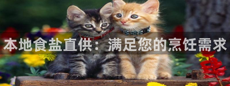 威九国际66在线