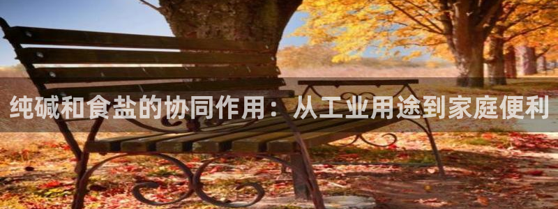威九国际后爸