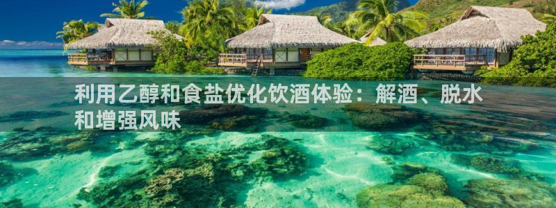 威九国际韩国