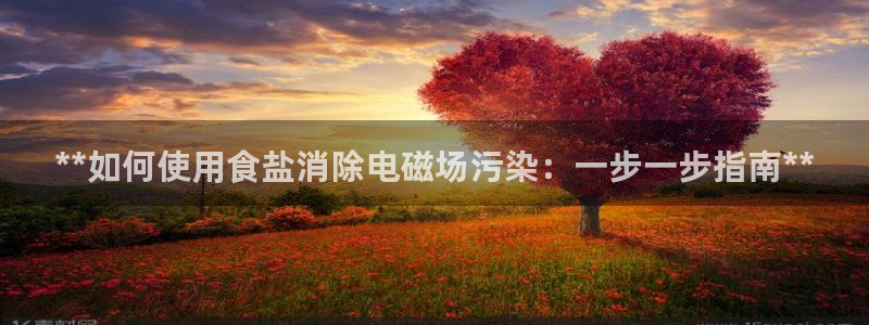 保定威九网络科技有限公司招聘