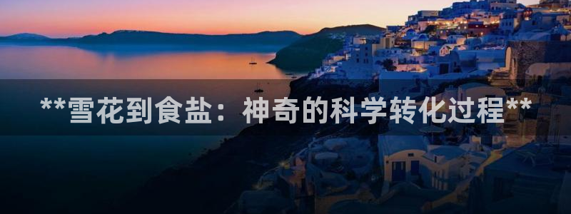 威九国际人民网