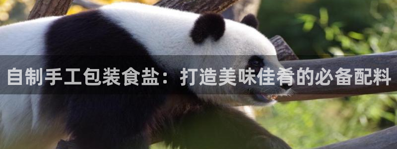 威九国际取款不到账