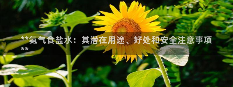 威九国际Sxsx