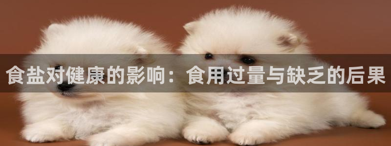 威九国际v9