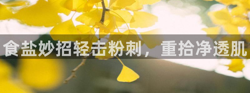 威九国际空降服务怎么样