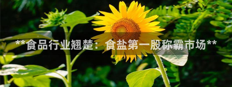 威九国际电子游戏