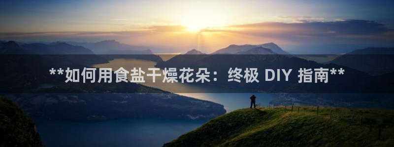 威九国际全国空降