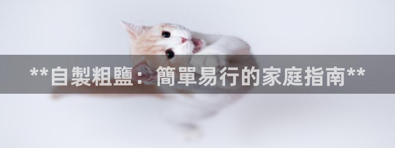 66m威九国际精选