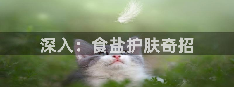 威九国际如何下载
