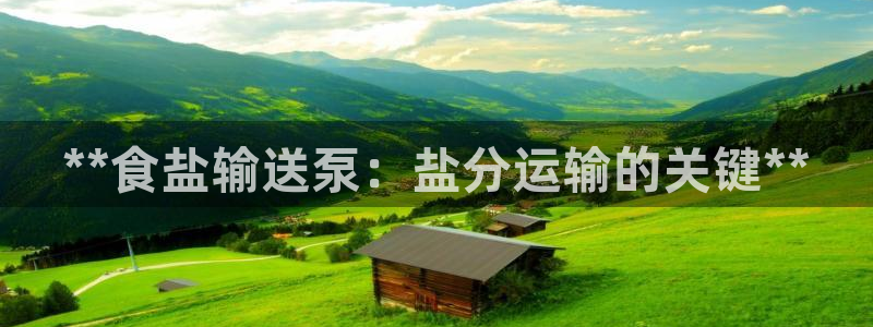 威九国际app网站官网