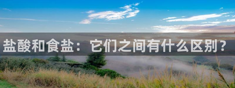 威九国际78mb官网版