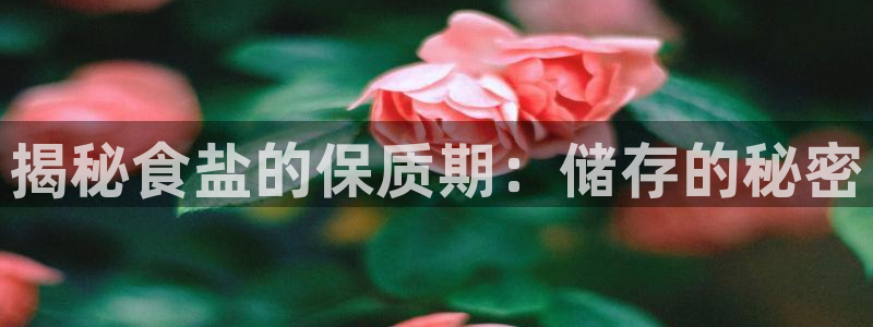 威九国际女孩