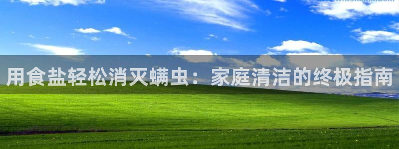 威九国际78m