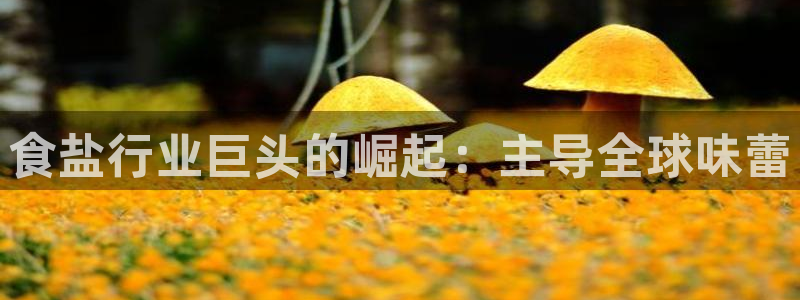 威九国际可以提现吗现在