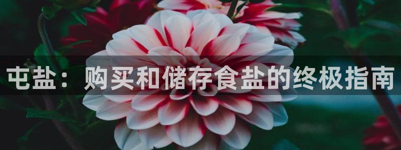 威九国际网站是多少