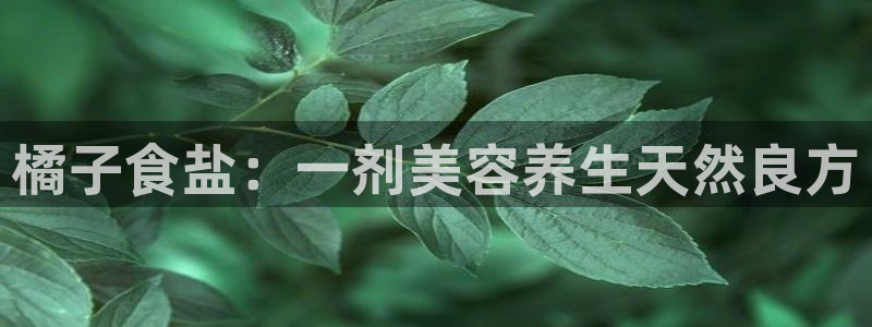 威九国际官网版