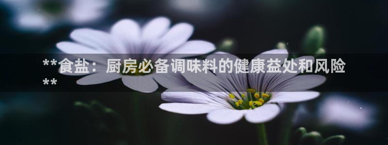 威九国际FT