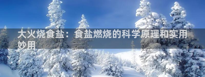 威九国际网站进入公司不断创新