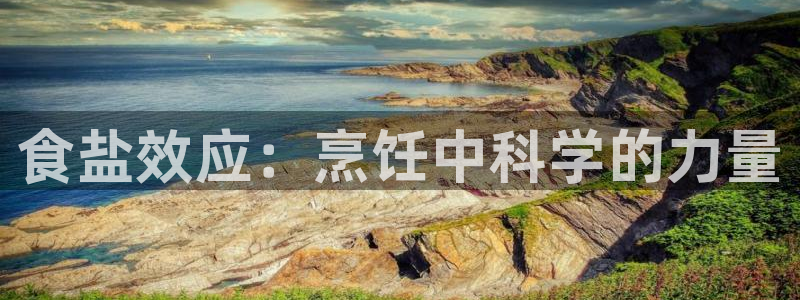 威九国际网站入口官网首页下载
