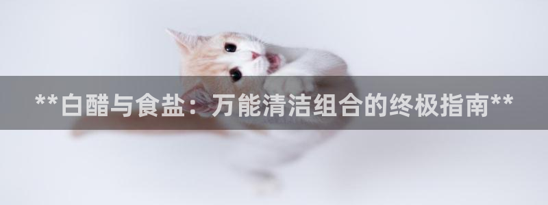 威九国际男演员