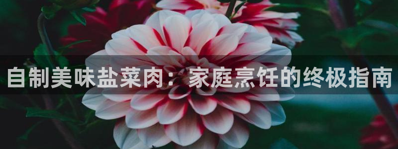 威九国际66在线