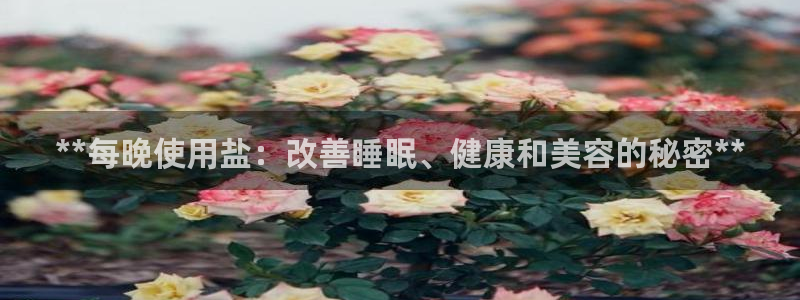 威九国际PPT