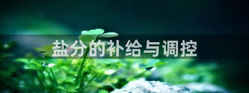 威九国际的金融服务怎么样