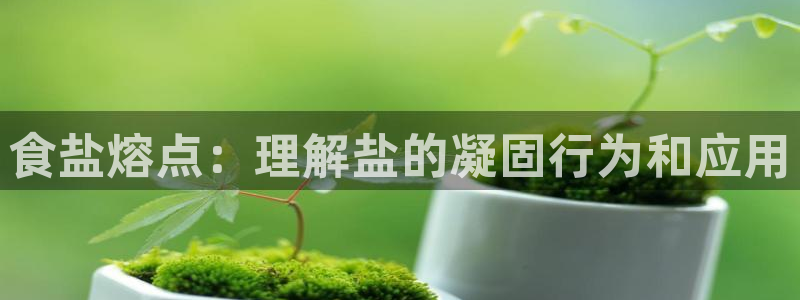 威九国际网站入口地址查询