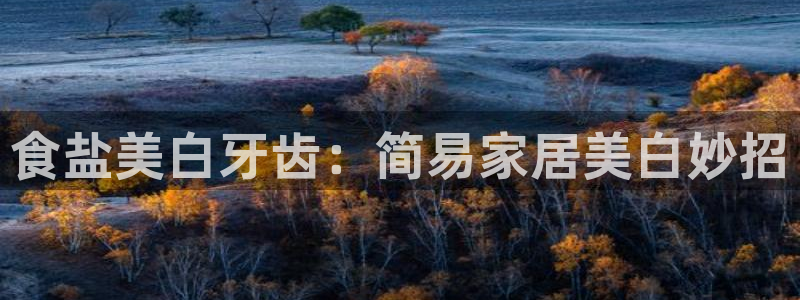 威九国际黄威尼斯