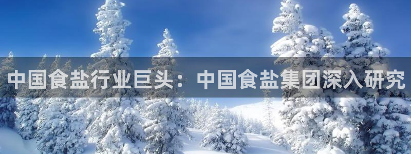 威九国际清砖码