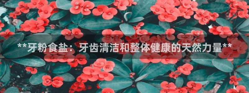 威九国际网站入口官网首页下载
