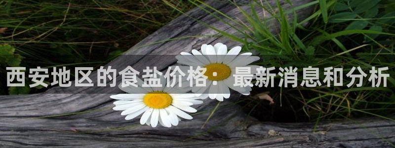威九国际78mb下载